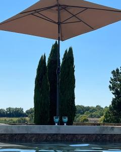 Jardin Meurin