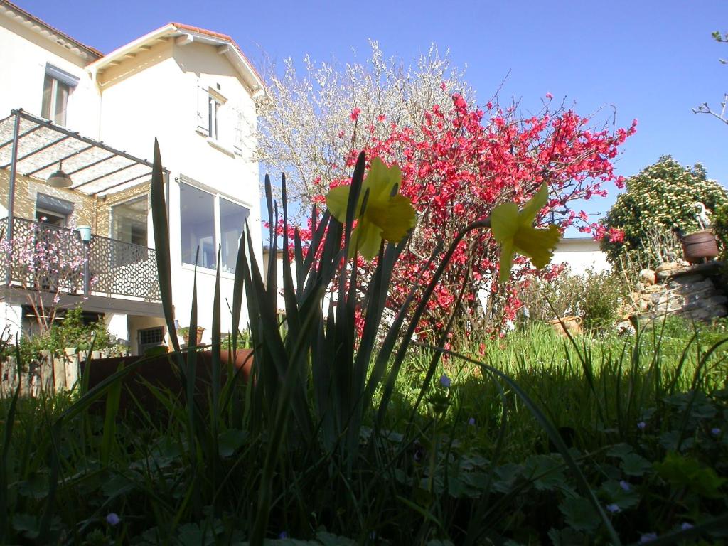 B&B / Chambre d'hôtes l'agapanthe 8 avenue de Notre Dame 11600 Conques-sur-Orbiel