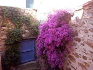 B&B / Chambre d'hôtes L'Art de Vivre 2 rue Saint-Antoine 66720 Latour-de-France Languedoc-Roussillon