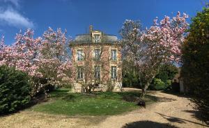 L'Atelier des Magnolias
