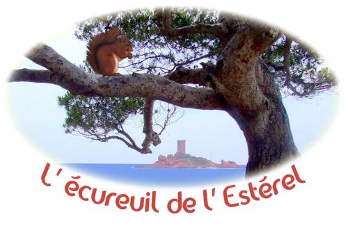 L'Ecureuil de l'Estérel