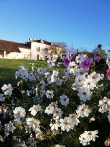 B&B / Chambre d'hôtes L'escapade lieu-dit clos bois 24310 Brantôme Aquitaine