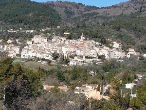 L'étoile du sud
