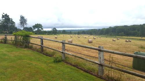 L'Herbe aux Vaches