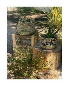 B&B / Chambre d'hôtes L'Oasis Vendargues 16 Rue de la Cadoule 34740 Vendargues Languedoc-Roussillon