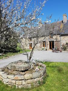 B&B / Chambre d'hôtes La Barrière La Barrière 35560 Rimoux Bretagne