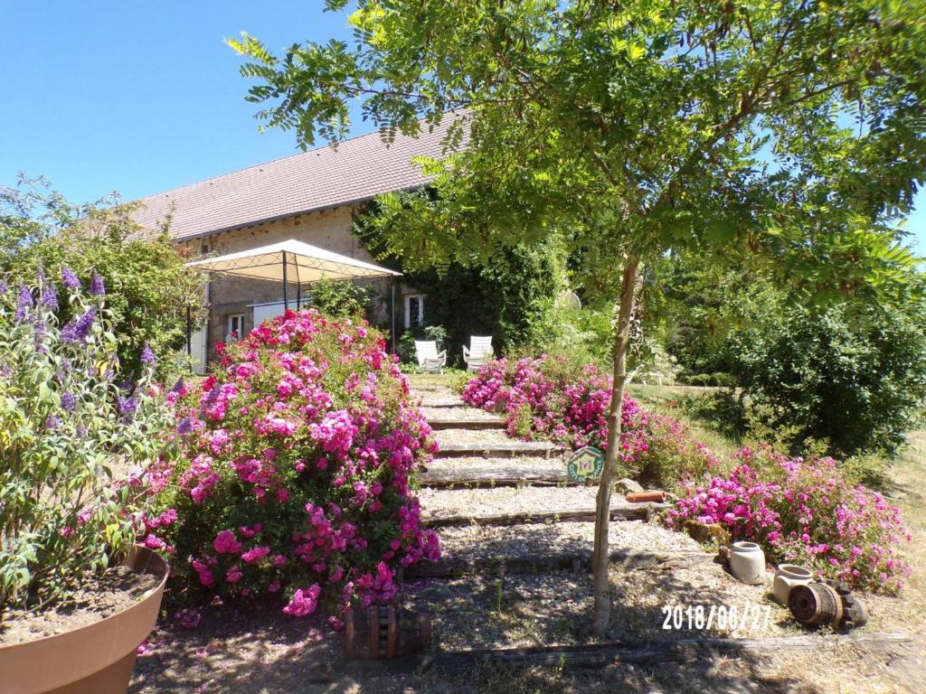 La Bastide 81120 Lamillarié