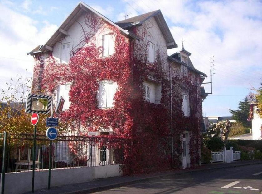 B&B / Chambre d'hôtes La Bergerie 42 Rue du Maréchal Foch 44510 Le Pouliguen