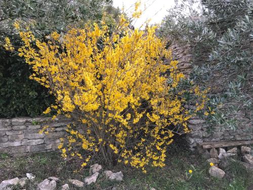 La Borie en Provence