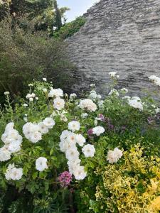 La Borie en Provence