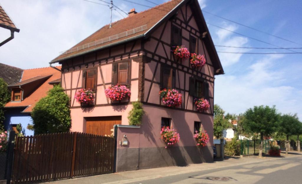 La bulle de Gaston 31000 Toulouse