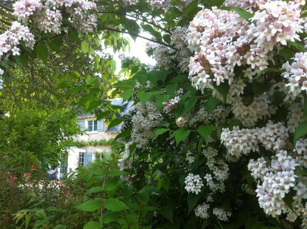 La Butte de Gohier Blaison-Gohier