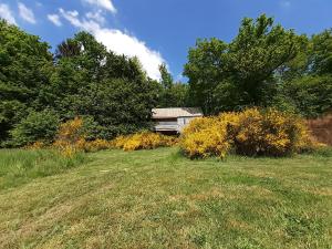 B&B / Chambre d'hôtes LA CABANE DU PERCHE - Cabane SPA Normandie La Maslotière 61400 Saint-Mard-de-Réno -1