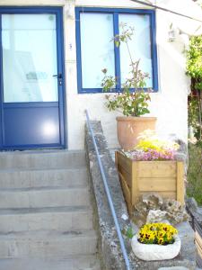 La Citadelle