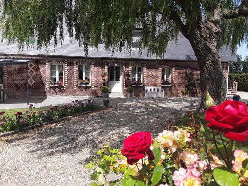 La Cle de Saule