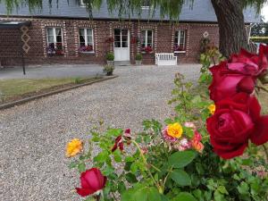 La Cle de Saule