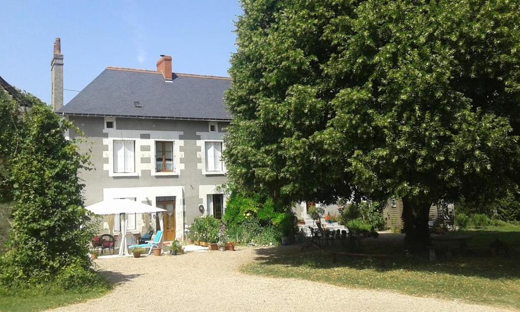 B&B / Chambre d'hôtes La clé des jardins 8 Rue du Vieux Lavoir 37800 Nouâtre