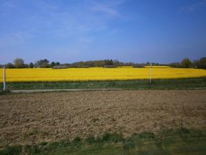 La Clef des Champs