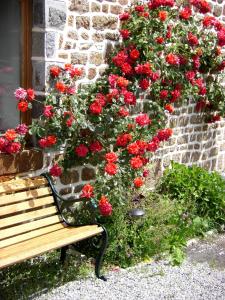 B&B / Chambre d'hôtes La Cloue Lieu Dit La Cloue 53110 Sainte-Marie-du-Bois Pays de la Loire