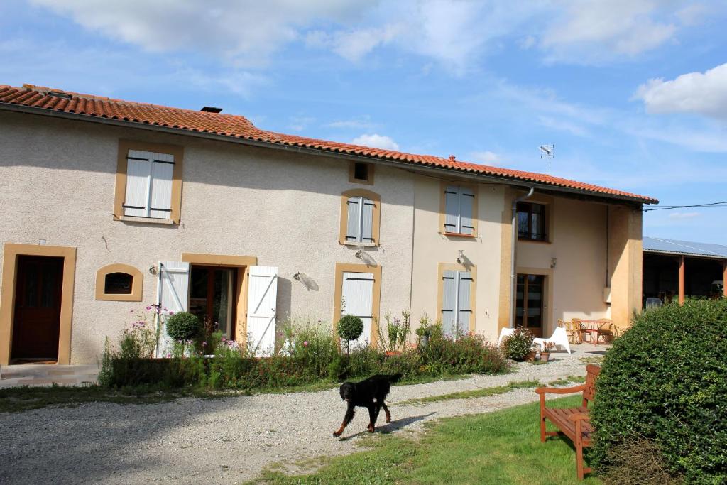 B&B / Chambre d'hôtes La Ferme de Bellune Lieu-dit Bellune 09270 Mazères