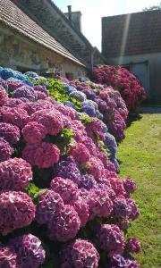 La ferme de Lec'h Hameury