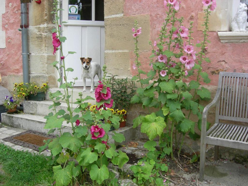 B&B / Chambre d'hôtes La Ferme Rose 2 Rue de la Ferme 95000 Cergy