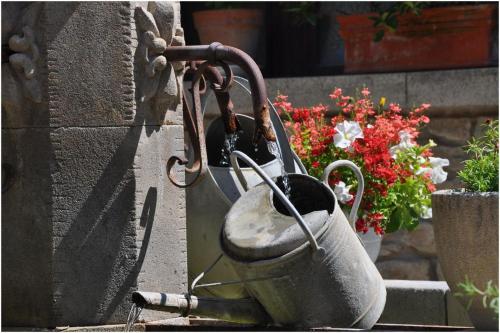 La Figuiere Fontaine de Vaucluse