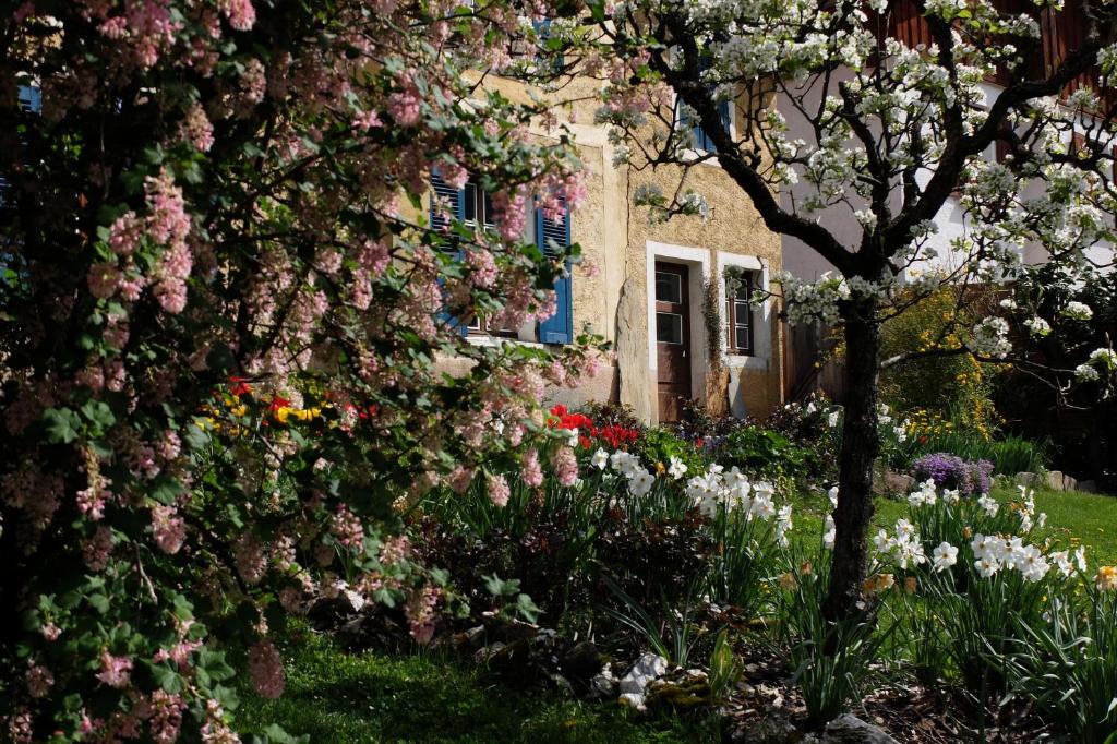 B&B / Chambre d'hôtes La Foyère 178 route de Frébuge 73210 Aime-La-Plagne