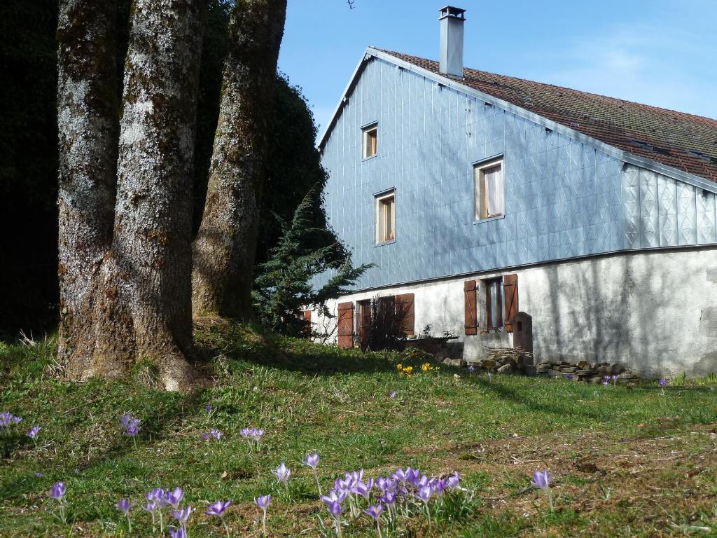 B&B / Chambre d'hôtes La Fritillaire Le Marchessand 70310 La Montagne