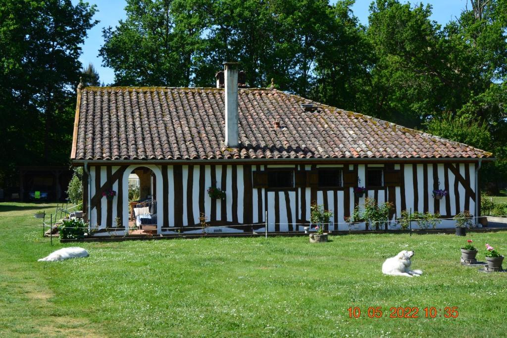 B&B / Chambre d'hôtes LA GRANDE JAOUGUE LA GRANDE JAOUGUE 40430 Callen