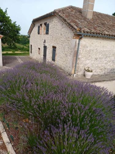 B&B / Chambre d'hôtes La grange à Tissac cardenal/ TISSAC 82110 Cazes-Mondenard Midi-Pyrénées