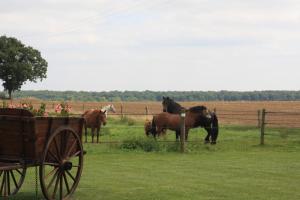 La Grange de Boulaines