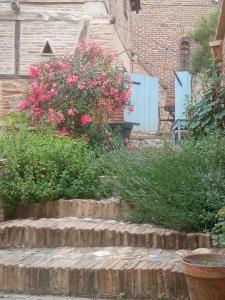 La lauze et l'anguille