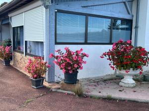 B&B / Chambre d'hôtes La Ligonne 125 rue  chez glaude 16110 Marillac -1