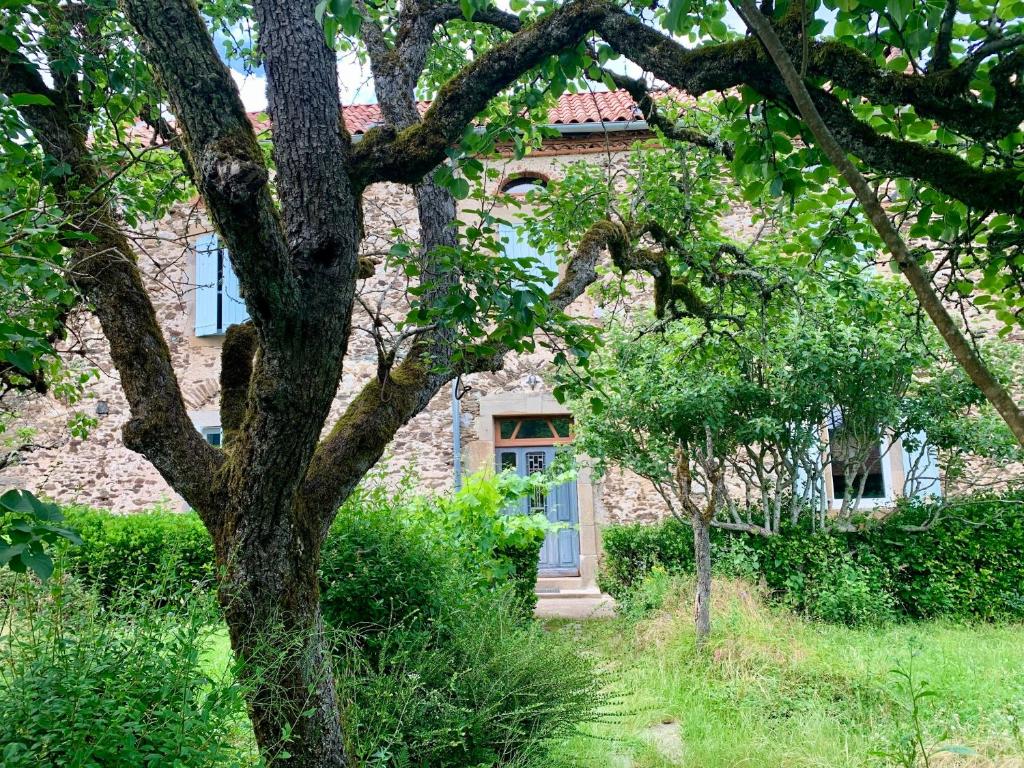 B&B / Chambre d'hôtes La maison Cayré Le Carrelie 81190 Mirandol-Bourgnounac