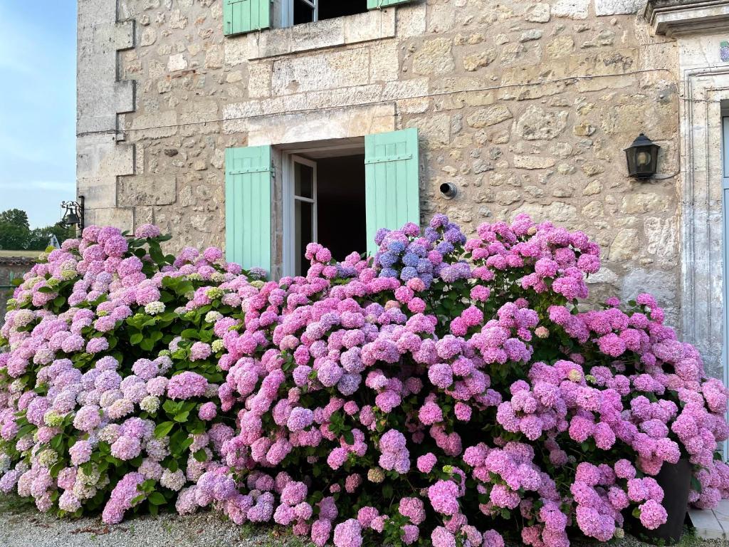 B&B / Chambre d'hôtes La Maison d’Hortense et Lili 1 Route de Ribérac 24600 Allemans