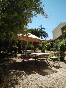 La Maison des Palmiers