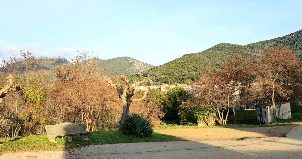 La maison jaune