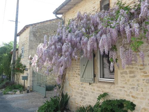 La Maison Mûrier
