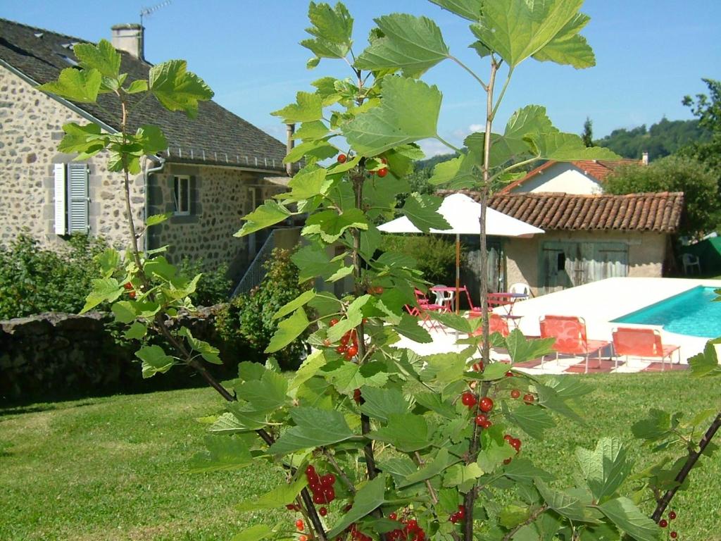 B&B / Chambre d'hôtes LA MAISON près d'Aurillac 23 Le Bourg 15130 Giou-de-Mamou