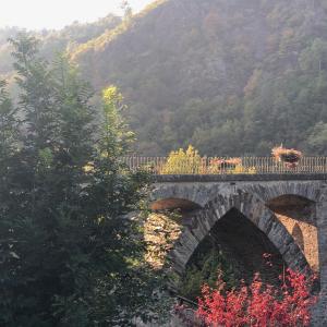 B&B / Chambre d'hôtes La Maison sur La Rivière 1 rue de Vabrez 81330 Vabre Midi-Pyrénées