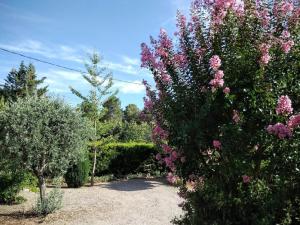 B&B / Chambre d'hôtes la Mésange Bleue du VERDON SILLANS LA CASCADE chemin de roque rousse 83690 Sillans-la-Cascade Provence-Alpes-Côte d\'Azur