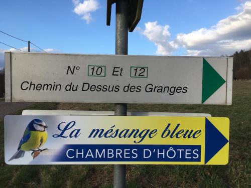La Mésange bleue