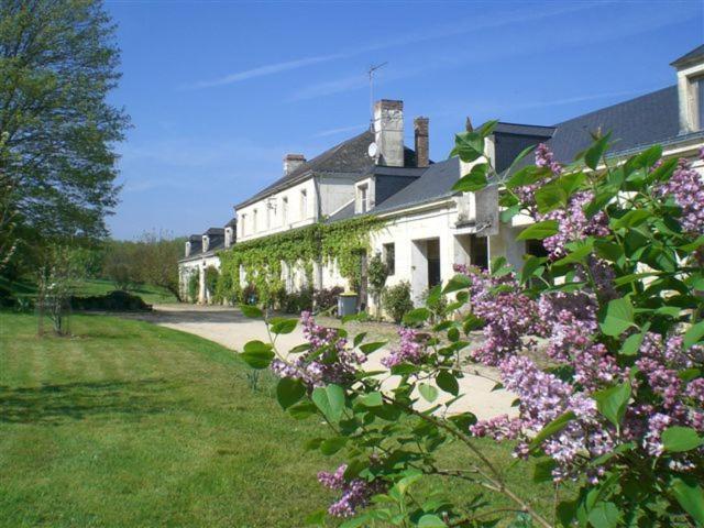 B&B / Chambre d'hôtes La Mesnagerie La Ménagerie 49140 Jarzé