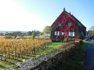 B&B / Chambre d'hôtes La Passerelle des Corton B&B 12 rue des Corton 21420 Aloxe-Corton Bourgogne