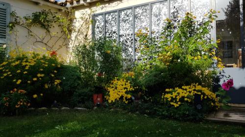 La Passerose jardin clos 300mplage la Couarde sur mer