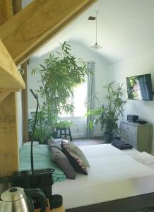 B&B / Chambre d'hôtes La petite maison du jardin d'Apollon 14 Rue Raymond Laubier 91410 Dourdan Île-de-France