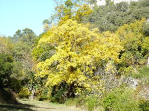 La Ressence Luberon