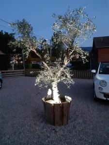 La Rosée Blanche