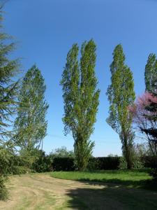 La Roseraie